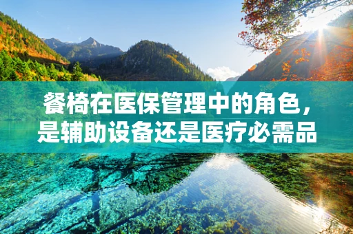 餐椅在医保管理中的角色，是辅助设备还是医疗必需品？
