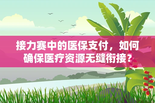接力赛中的医保支付，如何确保医疗资源无缝衔接？