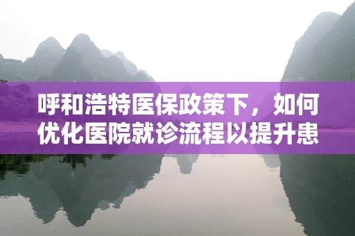 呼和浩特医保政策下，如何优化医院就诊流程以提升患者满意度？