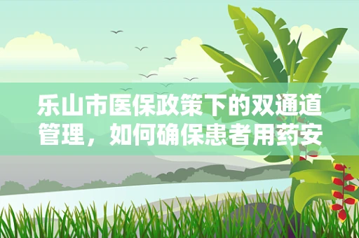 乐山市医保政策下的双通道管理，如何确保患者用药安全与医保基金高效利用？