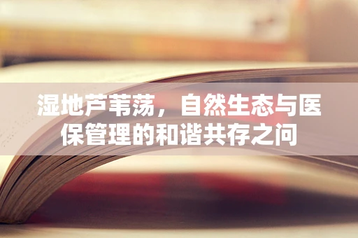 湿地芦苇荡，自然生态与医保管理的和谐共存之问