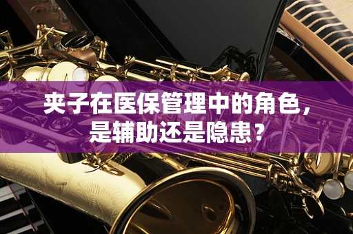 夹子在医保管理中的角色，是辅助还是隐患？