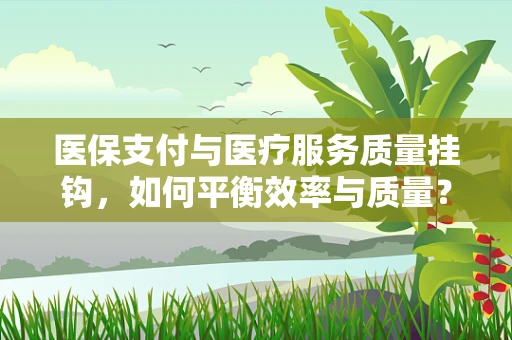医保支付与医疗服务质量挂钩，如何平衡效率与质量？