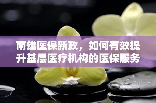 南雄医保新政，如何有效提升基层医疗机构的医保服务效率？