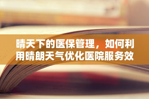 晴天下的医保管理，如何利用晴朗天气优化医院服务效率？