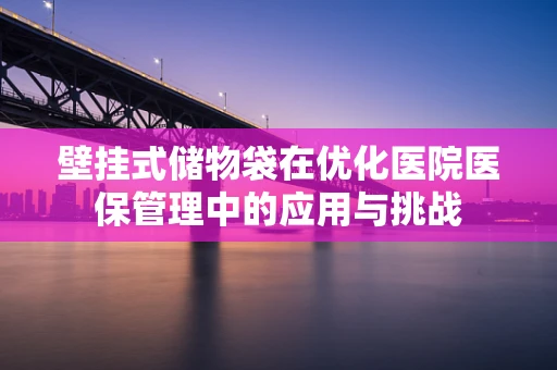 壁挂式储物袋在优化医院医保管理中的应用与挑战