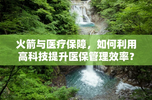 火箭与医疗保障，如何利用高科技提升医保管理效率？