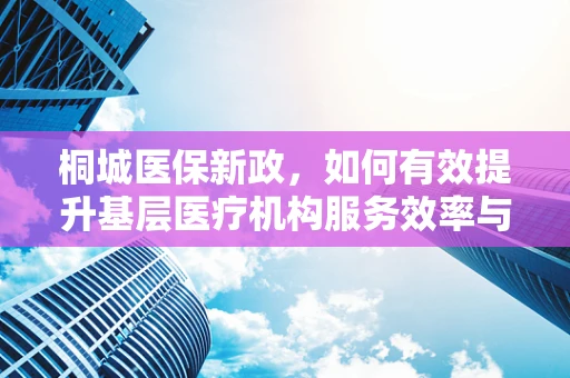 桐城医保新政，如何有效提升基层医疗机构服务效率与质量？