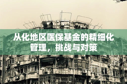 从化地区医保基金的精细化管理，挑战与对策