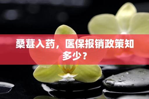 桑葚入药，医保报销政策知多少？