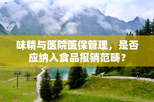 味精与医院医保管理，是否应纳入食品报销范畴？