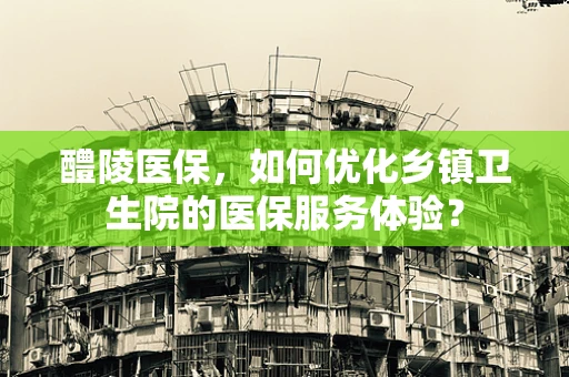 醴陵医保，如何优化乡镇卫生院的医保服务体验？