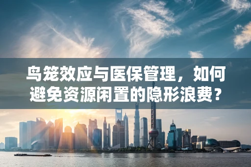 鸟笼效应与医保管理，如何避免资源闲置的隐形浪费？