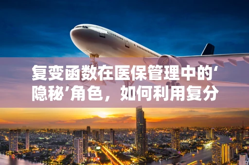 复变函数在医保管理中的‘隐秘’角色，如何利用复分析优化费用审核？