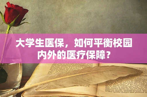 大学生医保，如何平衡校园内外的医疗保障？