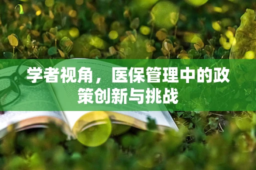 学者视角，医保管理中的政策创新与挑战
