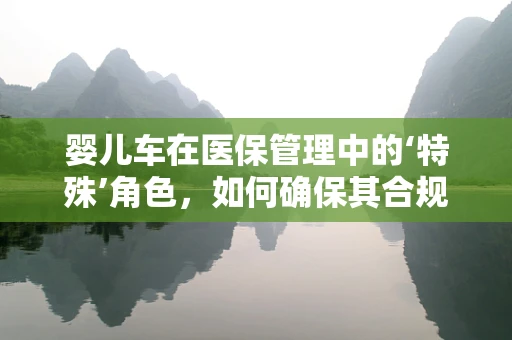 婴儿车在医保管理中的‘特殊’角色，如何确保其合规使用与报销？