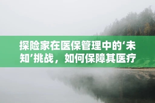探险家在医保管理中的‘未知’挑战，如何保障其医疗保障的连续性？