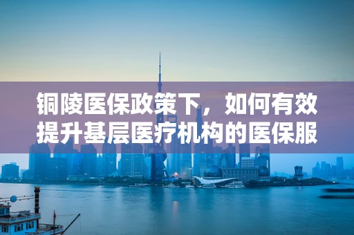 铜陵医保政策下，如何有效提升基层医疗机构的医保服务效率？
