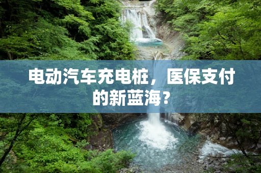 电动汽车充电桩，医保支付的新蓝海？