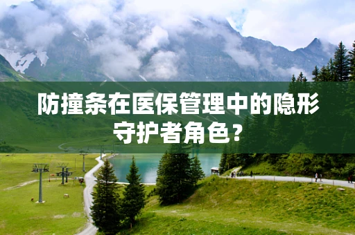 防撞条在医保管理中的隐形守护者角色？