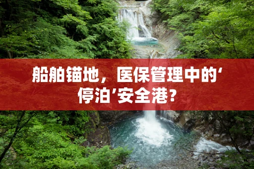 船舶锚地，医保管理中的‘停泊’安全港？