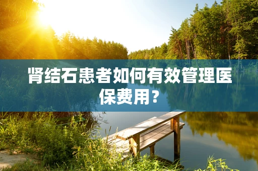 肾结石患者如何有效管理医保费用？