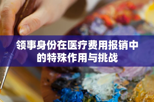 领事身份在医疗费用报销中的特殊作用与挑战