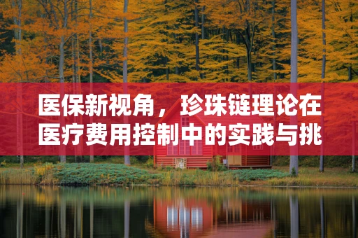 医保新视角，珍珠链理论在医疗费用控制中的实践与挑战