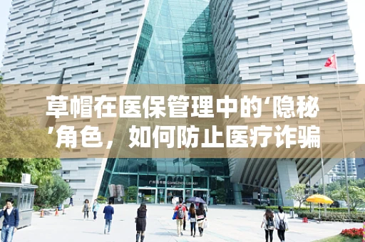 草帽在医保管理中的‘隐秘’角色，如何防止医疗诈骗的‘阳光’策略？