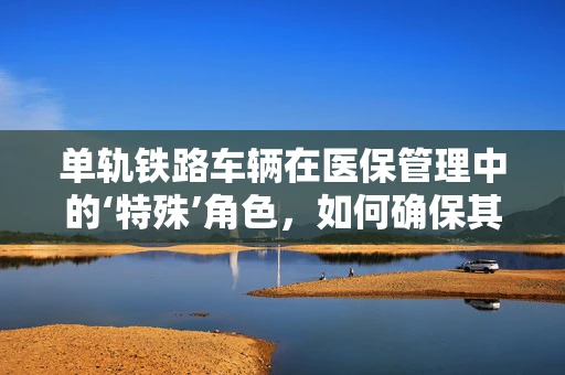 单轨铁路车辆在医保管理中的‘特殊’角色，如何确保其医疗费用报销的准确性？