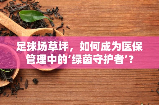 足球场草坪，如何成为医保管理中的‘绿茵守护者’？