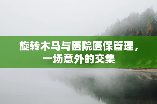 旋转木马与医院医保管理，一场意外的交集