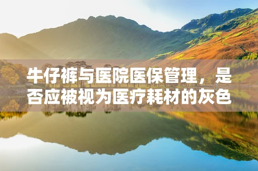 牛仔裤与医院医保管理，是否应被视为医疗耗材的灰色地带？