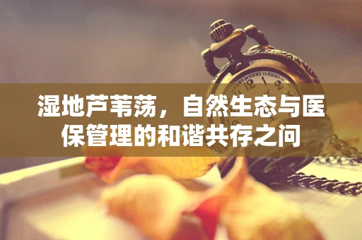 湿地芦苇荡，自然生态与医保管理的和谐共存之问