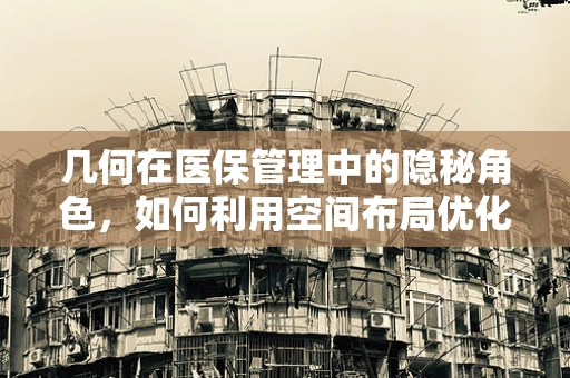 几何在医保管理中的隐秘角色，如何利用空间布局优化资源分配？