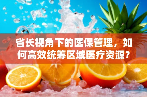 省长视角下的医保管理，如何高效统筹区域医疗资源？