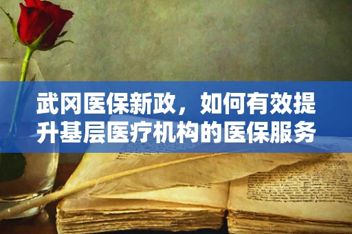 武冈医保新政，如何有效提升基层医疗机构的医保服务效率？