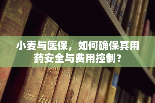 小麦与医保，如何确保其用药安全与费用控制？