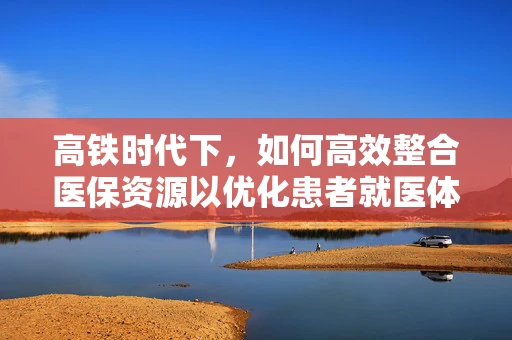 高铁时代下，如何高效整合医保资源以优化患者就医体验？