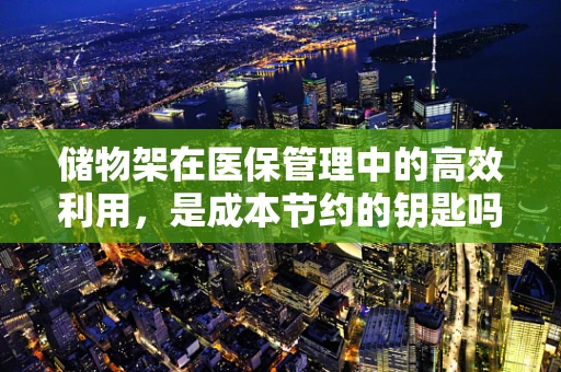 储物架在医保管理中的高效利用，是成本节约的钥匙吗？