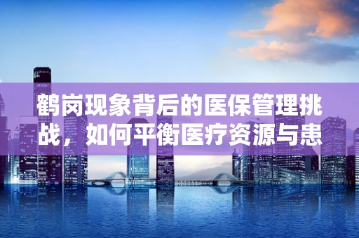 鹤岗现象背后的医保管理挑战，如何平衡医疗资源与患者福祉？