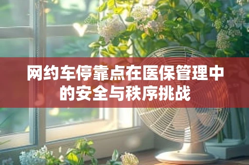网约车停靠点在医保管理中的安全与秩序挑战