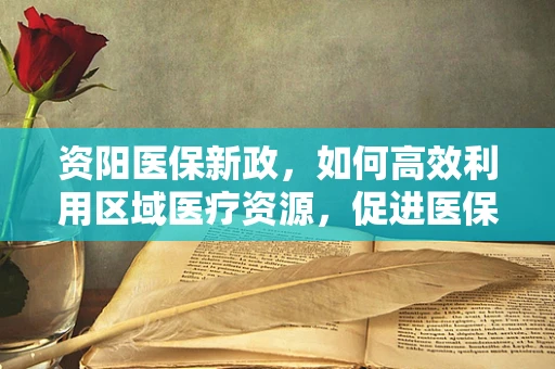 资阳医保新政，如何高效利用区域医疗资源，促进医保基金可持续性？