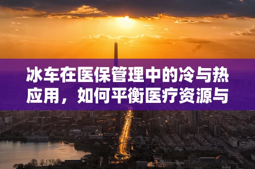 冰车在医保管理中的冷与热应用，如何平衡医疗资源与患者需求？