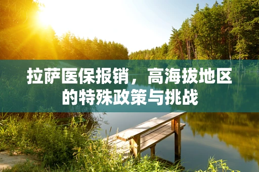 拉萨医保报销，高海拔地区的特殊政策与挑战