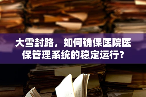 大雪封路，如何确保医院医保管理系统的稳定运行？
