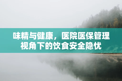 味精与健康，医院医保管理视角下的饮食安全隐忧