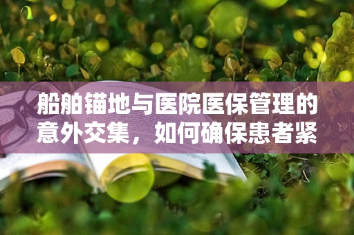 船舶锚地与医院医保管理的意外交集，如何确保患者紧急救治不受影响？