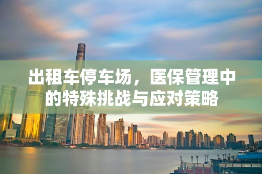 出租车停车场，医保管理中的特殊挑战与应对策略